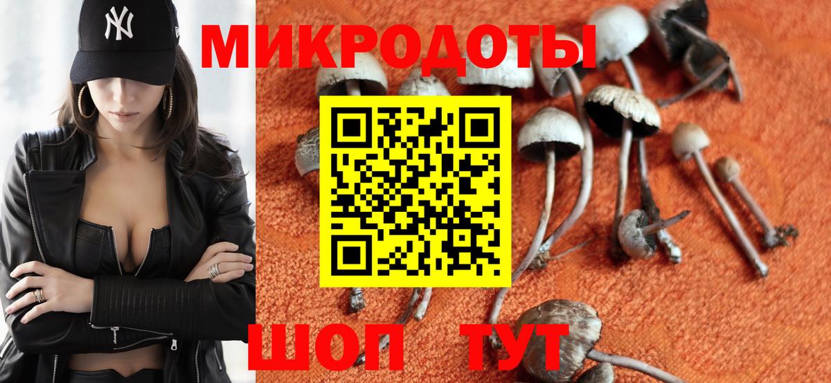 Псилоцибиновые грибы GOLDEN TEACHER Павловский Посад