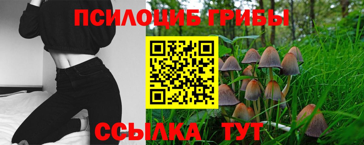 Павловский Посад  Галлюциногенные грибы GOLDEN TEACHER  Вход с VPN 